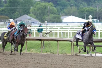 Napoleon Solo More Focused Ahead of Breeders' Cup
