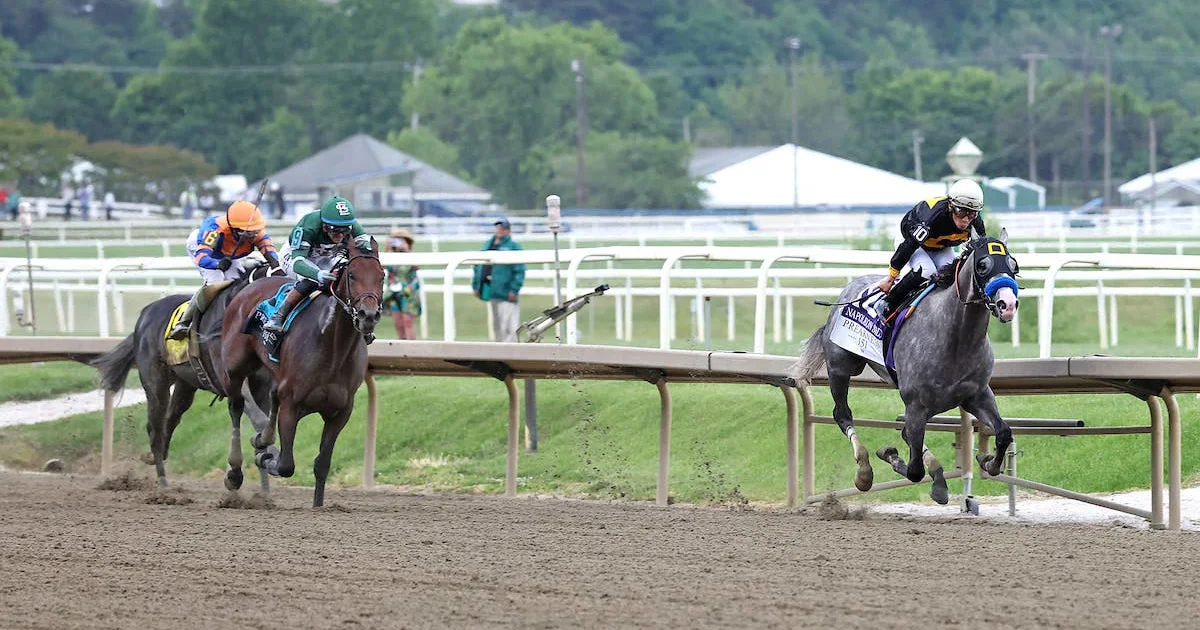 Napoleon Solo More Focused Ahead of Breeders' Cup