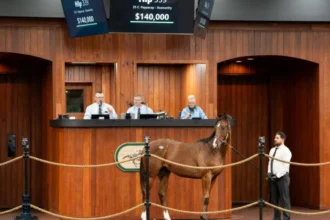 OBS October Yearling Sale Ends With Increased Average and Median Prices