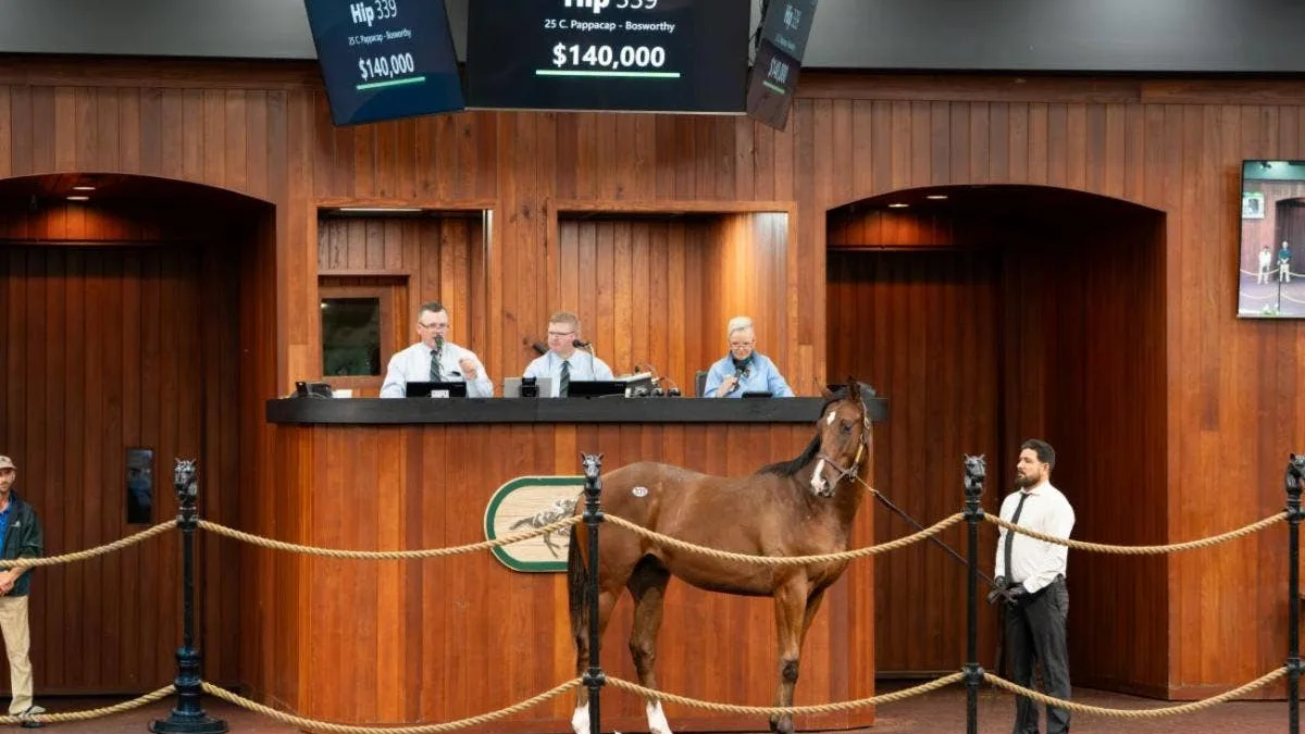 OBS October Yearling Sale Ends With Increased Average and Median Prices