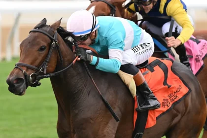 Shelzawa Circles Field for Third Straight Win in Winter Memories, Signaling Bright Future