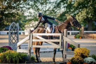 Thoroughbred Makeover Progresses in Winning Hearts and Minds