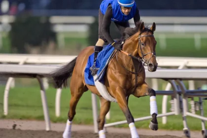 Trainer Charlie Appleby Seeks Third Canadian International Win With Arabian Crown