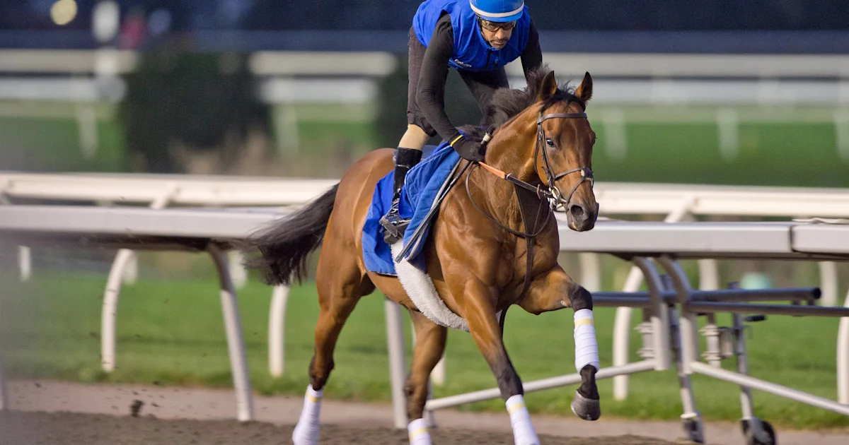 Trainer Charlie Appleby Seeks Third Canadian International Win With Arabian Crown