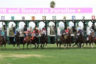 Turf Paradise GM Abruptly Departs Ahead of New Meet, Report Says