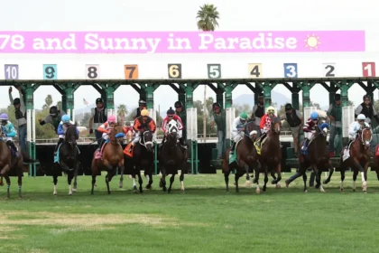 Turf Paradise GM Abruptly Departs Ahead of New Meet, Report Says