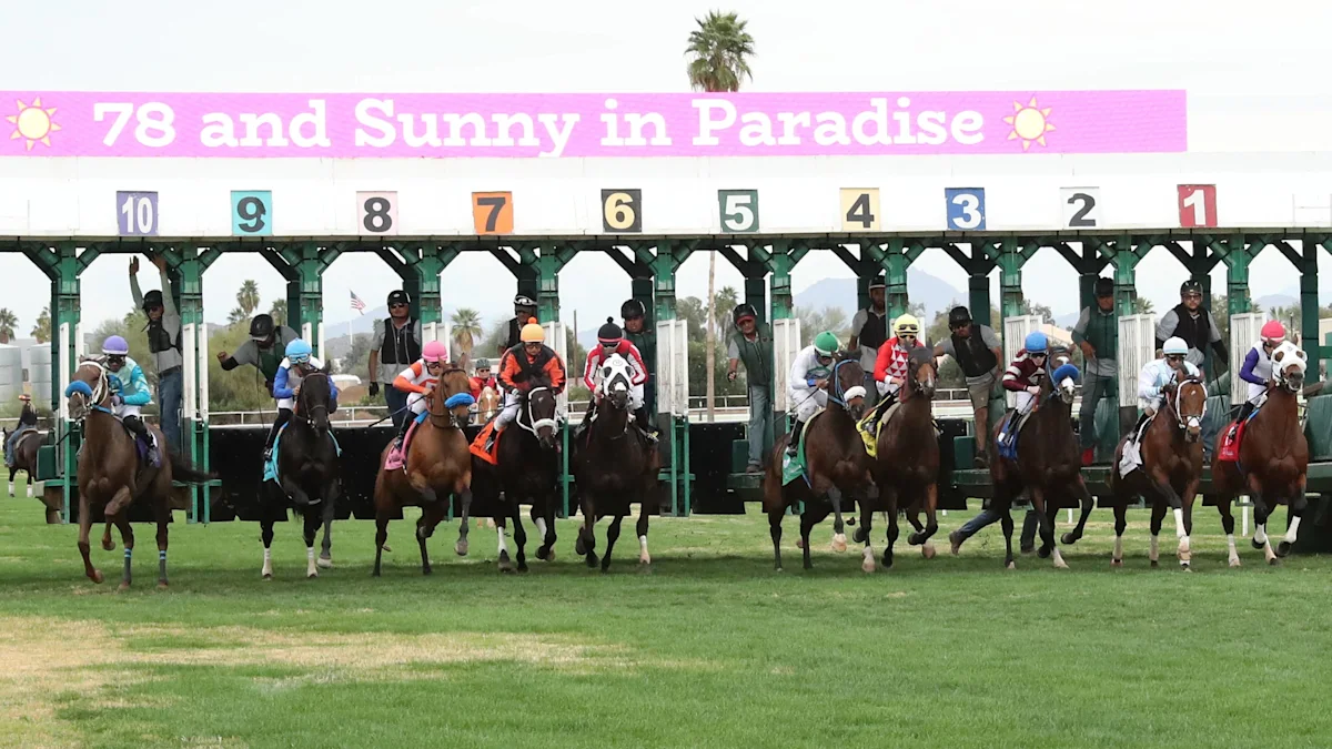 Turf Paradise GM Abruptly Departs Ahead of New Meet, Report Says