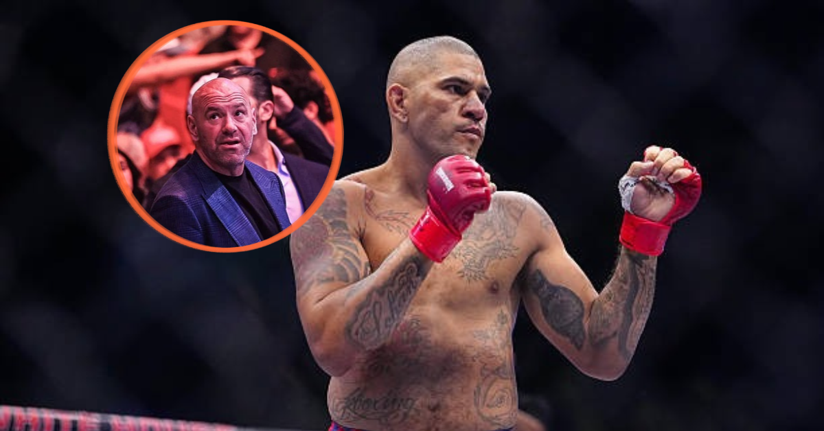 UFC CEO Dana White Provides Update on Alex Pereira's Next Fight