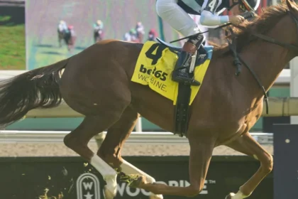 Warming Wins Dance Smartly Stakes Despite Ground-Sapping Trip