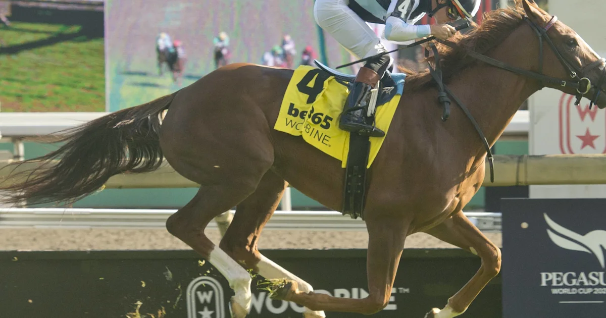 Warming Wins Dance Smartly Stakes Despite Ground-Sapping Trip